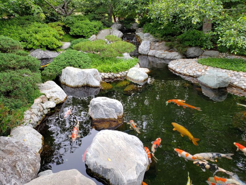 Fish Pond Installation in Honolulu, HI