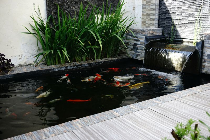 Fish Pond Installation in Honolulu, HI