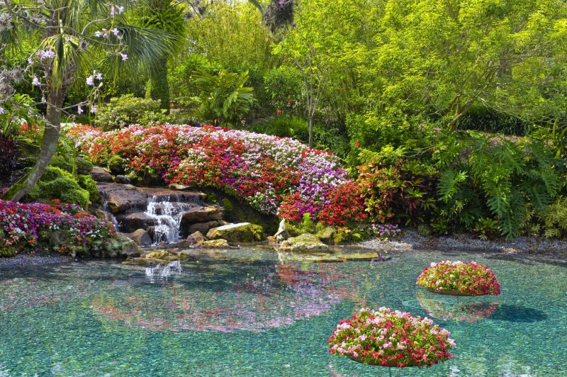 Garden Pond Installation in Honolulu, HI
