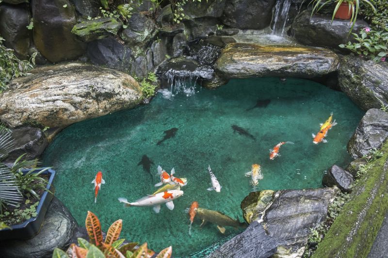 Koi Pond Cleaning Costs — Cost of Koi Pond Cleaning