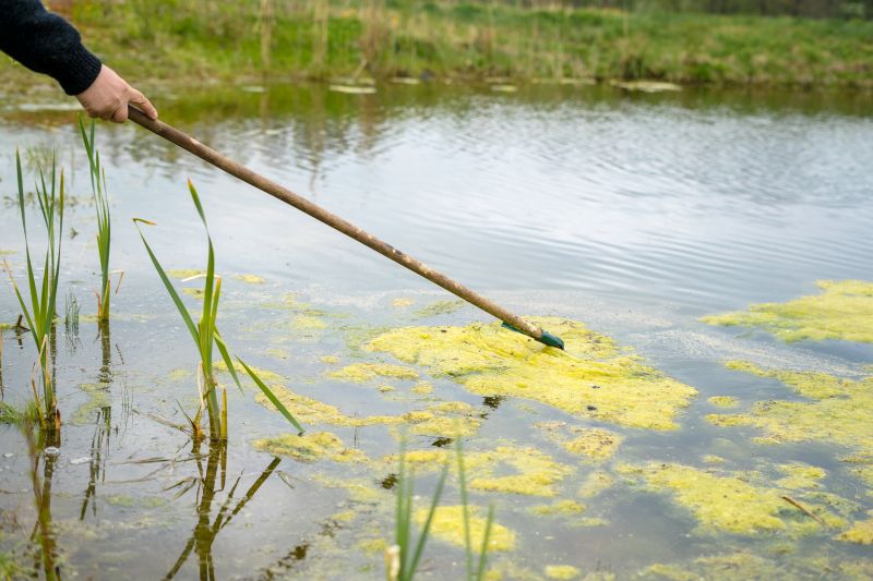 Koi Pond Cleaning Costs — Cost of Koi Pond Cleaning