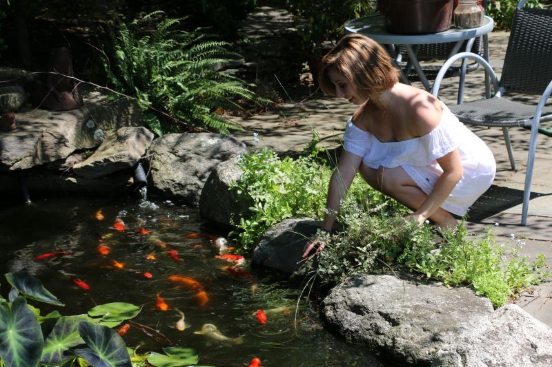 Koi Pond Cleaning