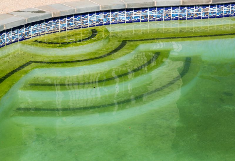 Algae Treatment Application