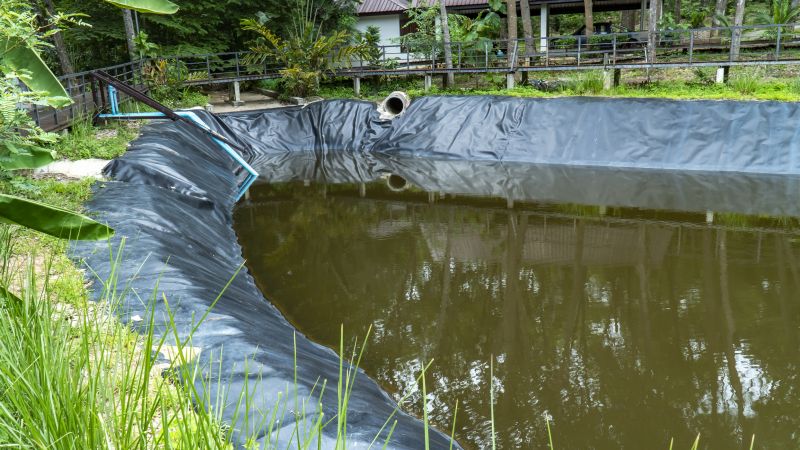Healthy Pond Environment