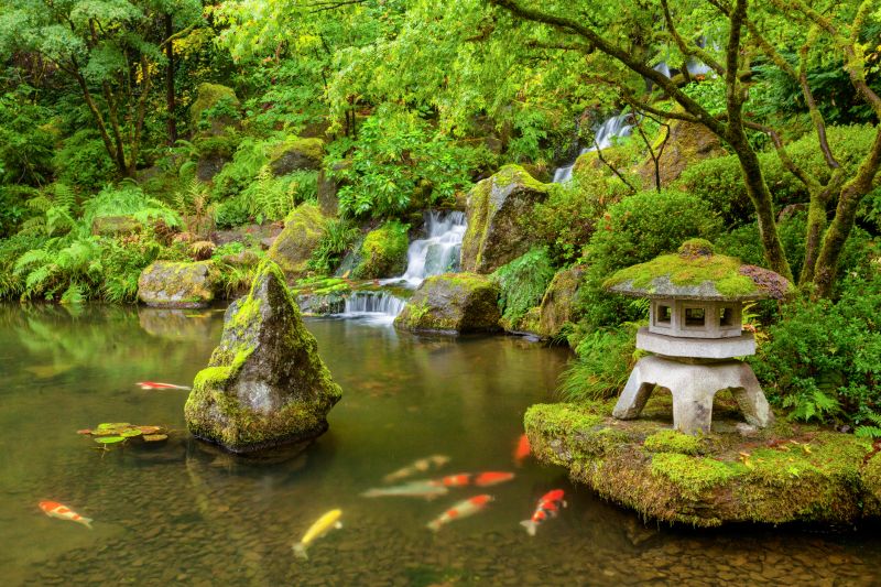 Koi Pond Construction in Ventura County, CA