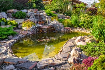 Pond Cleaning in Honolulu, HI