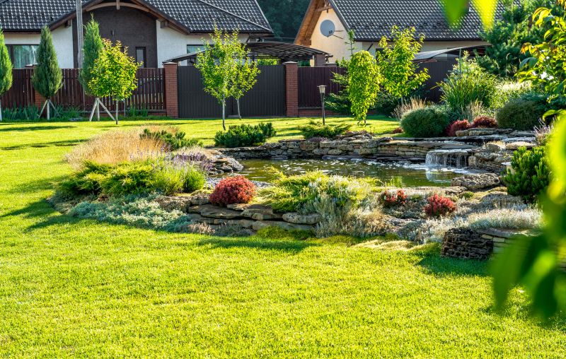 Pond Cleaning in Honolulu, HI